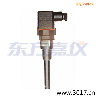 萊蕪含有溫度的兩線電導(dǎo)率電極