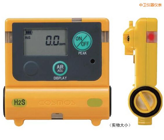中衛(wèi)硫化氫計(jì)