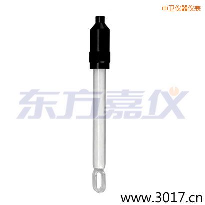 中衛(wèi)無溫補(bǔ)兩線電導(dǎo)率電極